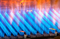 Borreraig gas fired boilers